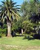 Hotel Sumarotel Miramare Beach & SPA4*, CORFU, GRECIA