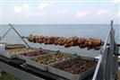 Hotel Sumarotel Miramare Beach & SPA4*, CORFU, GRECIA