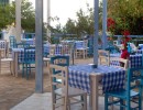 Hotel Mimosa & SPA4*, NISIPURILE DE AUR, BULGARIA